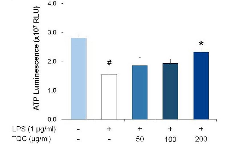 LPS 처리를 실시했을 경우 미토콘드리아의 ATP 생산량이 크게 떨어지지만, 백리향(TQC)의 농도가 높아질수록 ATP 수치도 증가하는 그래프