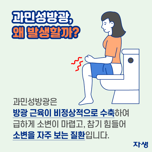 과민성방광, 왜 발생할까? 과민성방광은 방광 근육이 비정상적으로 수축하여 급하게 소변이 마렵고, 참기 힘들어 소변을 자주 보는 질환입니다.  | 자생한방병원·자생의료재단