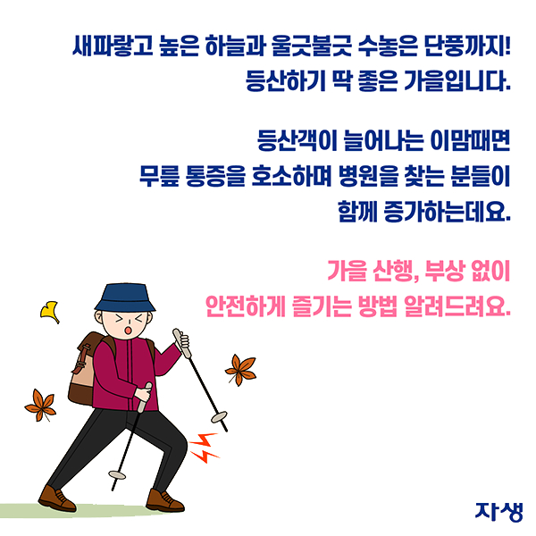 새파랗고 높은 하늘과 울긋불긋 수놓은 단풍까지! 등산하기 딱 좋은 가을입니다. 등산객이 늘어나는 이맘때면 무릎 통증을 호소하며 병원을 찾는 분들이 함께 증가하는데요. 가을 산행, 부상 없이 안전하게 즐기는 방법 알려드려요. | 자생한방병원·자생의료재단