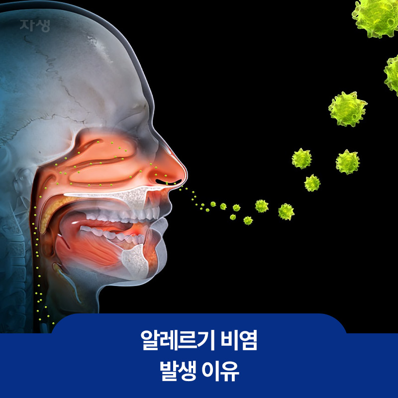 알레르기 비염 발생 이유를 설명하기 위한 코로 특정 물질이 들어오고 있는 모습을 보여주는 건강정보 이미지