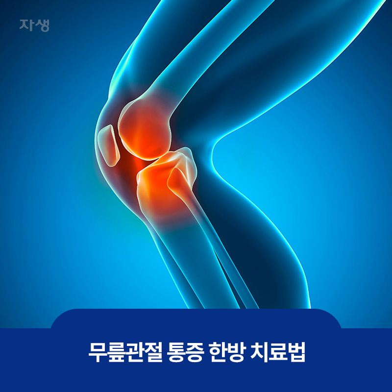 무릎 관절 이미지