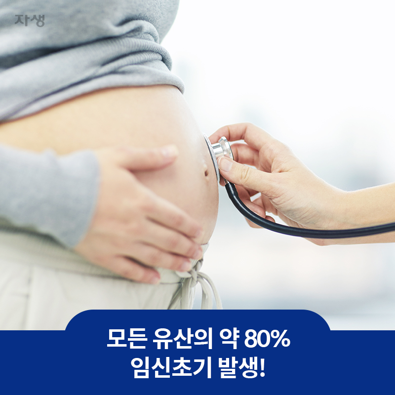 모든 유산의 약 80% 임신초기 발생