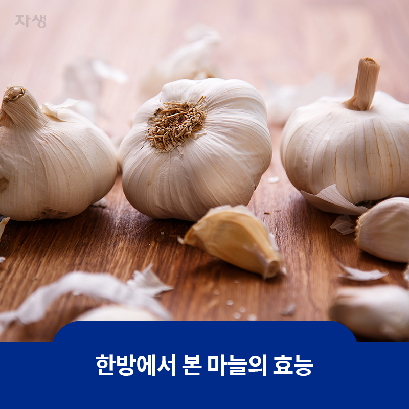 참고이미지 : 한방에서 본 마늘의 효능
 | 자생한방병원·자생의료재단