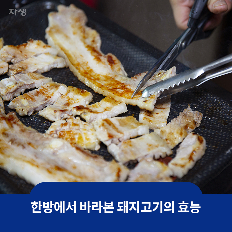 참고 이미지 : 한방에서 바라본 돼지고기의 효능 | 자생한방병원·자생의료재단