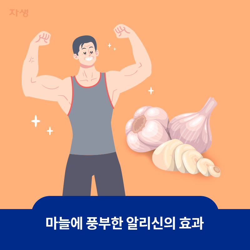 참고 이미지: 마늘에 풍부한 알리신의 효과 | 자생한방병원·자생의료재단