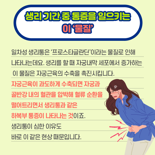 생리 기간중 통증을 일으키는 물질- 일차성 생리통은 프로스타글란딘 이라는 물질로 이해 나타나는데요. 생리를 할때 자궁내막 세포에서 증가하는 이 물질은 자궁근육의 수축을 촉진시킵니다. 자궁근육이 과도하게 수축되면 자궁과 골반강 내의 혈관을 압박해 혈류 순환을 떨어트리면서 생리통과 같은 하복부 통증이 나타나는 것이죠. 생리통이 심한 이유도 바로 이 같은 현상 때문입니다. | 자생한방병원·자생의료재단