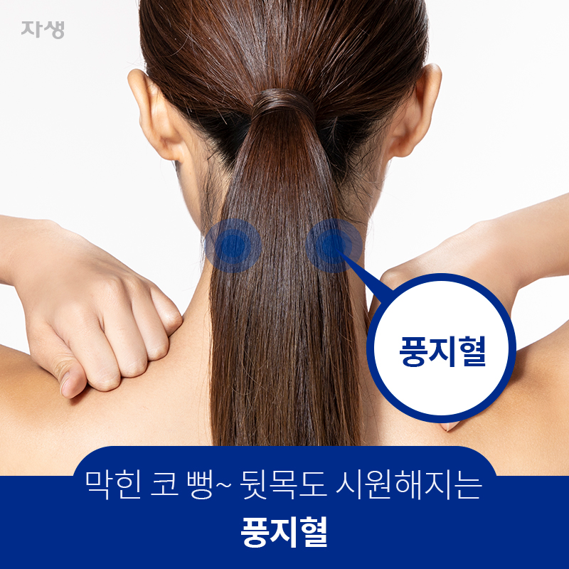  막힌 코 뻥~ 뒷목도 시원해지는 풍지혈  | 자생한방병원·자생의료재단