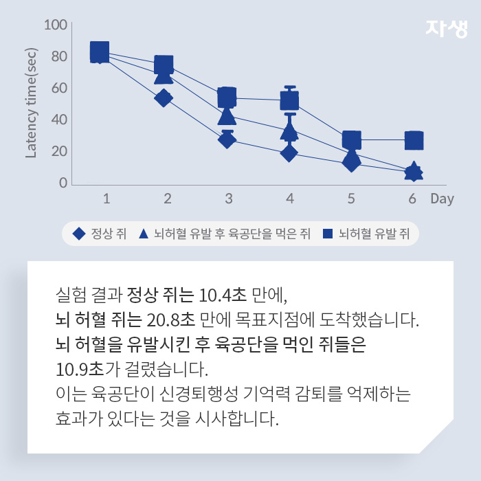 그래프 - 육공단이 신경퇴행성 기억력 감퇴를 억제하는 효과가 있다는 것을 시사 - 알기 쉬운 연구 이야기 | 자생의료재단