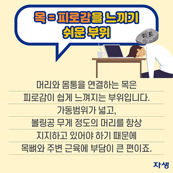 목=피로감을 느끼기 쉬운 부위 / 머리와 몸통을 연결하는 목은 피로감이 쉽게 느껴지는 부위입니다,. 가동범위가 넓고, 볼링공 무게 정도의 머리를 항상 지지하고 있어야 하기 때문에 목뼈와 주변 근육에 부단이 큰 편이죠.  | 자생한방병원·자생의료재단