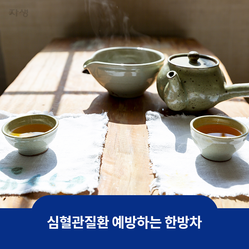 참고 이미지: 심혈관질환 예방하는 한방차
    | 자생한방병원·자생의료재단