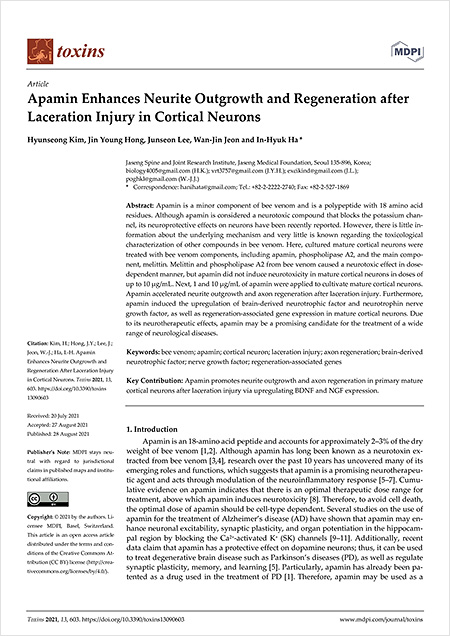 SCI(E)급 국제학술지 ‘Toxins’ 에 게재된 해당 연구 논문
「Apamin Enhances Neurite Outgrowth and Regeneration After Laceration Injury in Cortical Neurons」 | 자생한방병원·자생의료재단