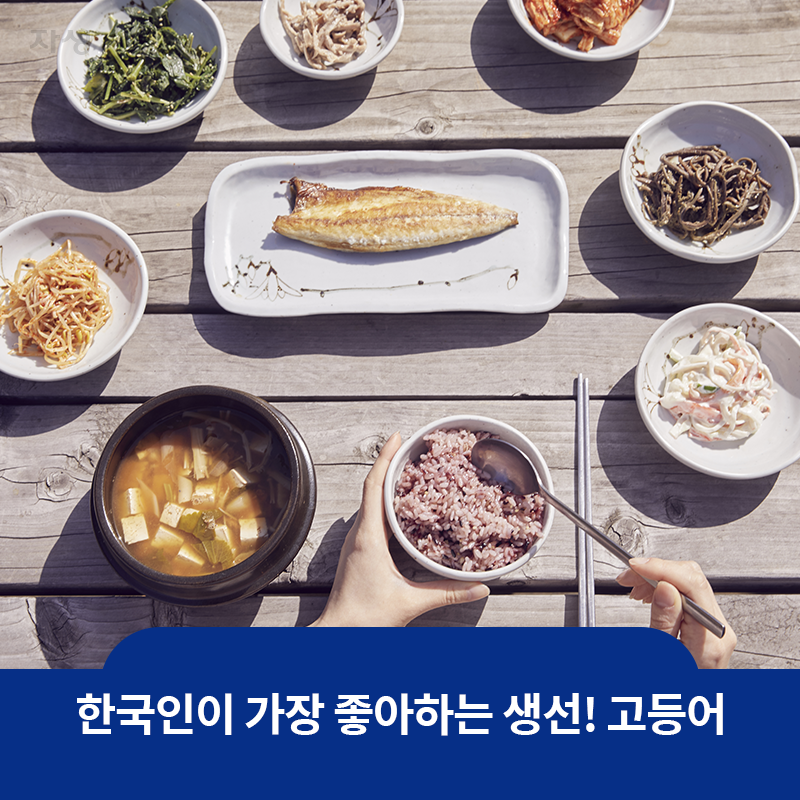 참고이미지 : 한국인이 가장 좋아하는 생선! 고등어 | 자생한방병원·자생의료재단