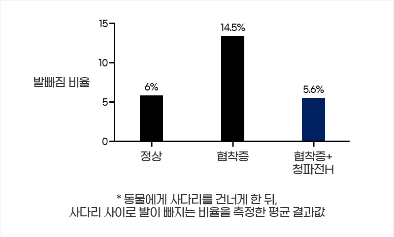 쥐 운동 능력 시험 사진 | 자생한방병원·자생의료재단