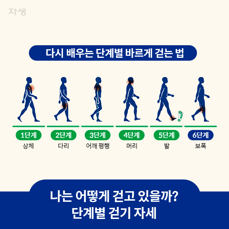 참고 이미지 : 나는 어떻게 걷고 있을까? 단계별 걷기 자세 | 자생한방병원·자생의료재단
