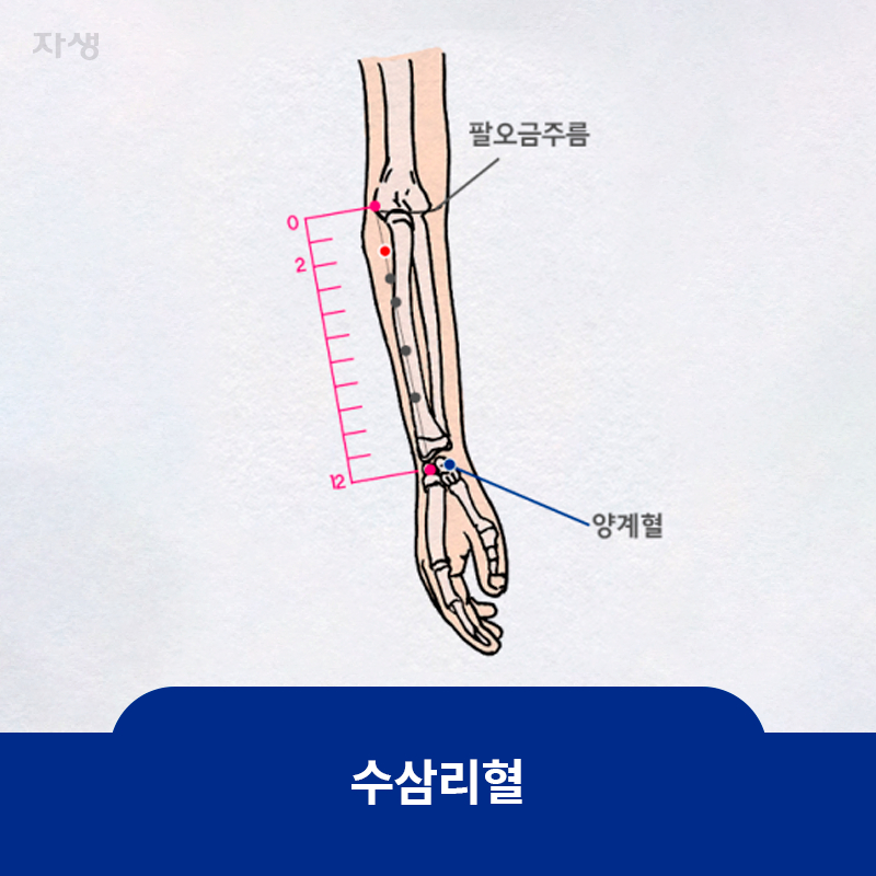 타이틀 이미지 : 수삼리혈