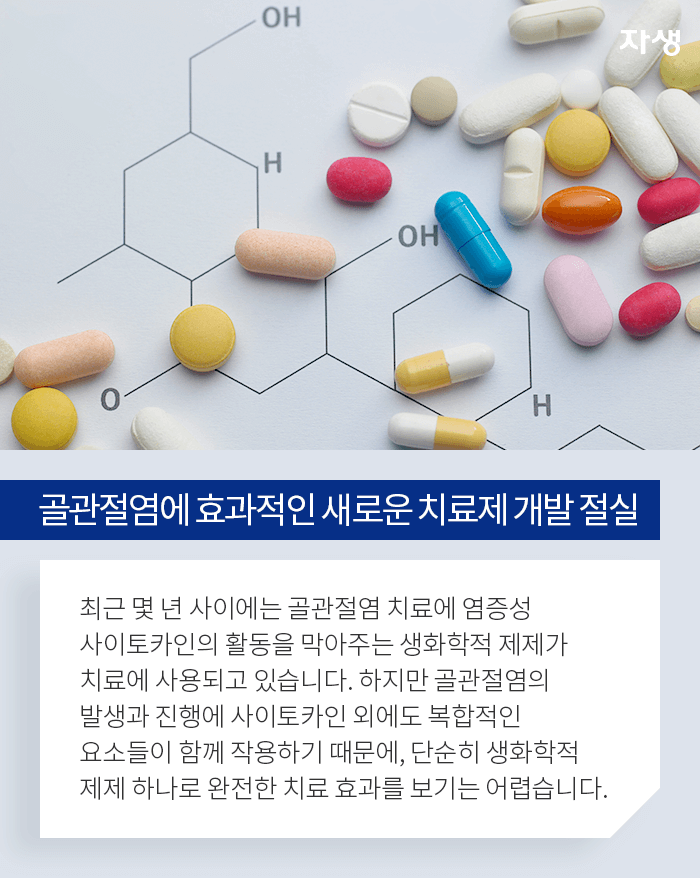 골관절염에 효과적인 새로운 치료제 개발 절실 - 최근 몇 년 사이에는 골관절염 치료에 염증성 사이토카인의 활동을 막아주는 생화학적 제제가 치료에 사용되고 있습니다. 하지만 골관절염의 발생과 진행에 사이토카인 외에도 복합적인 요소들이 함께 작용하기 때문에, 단순히 생화학적 제제 하나로 완전한 치료 효과를 보기는 어렵습니다.