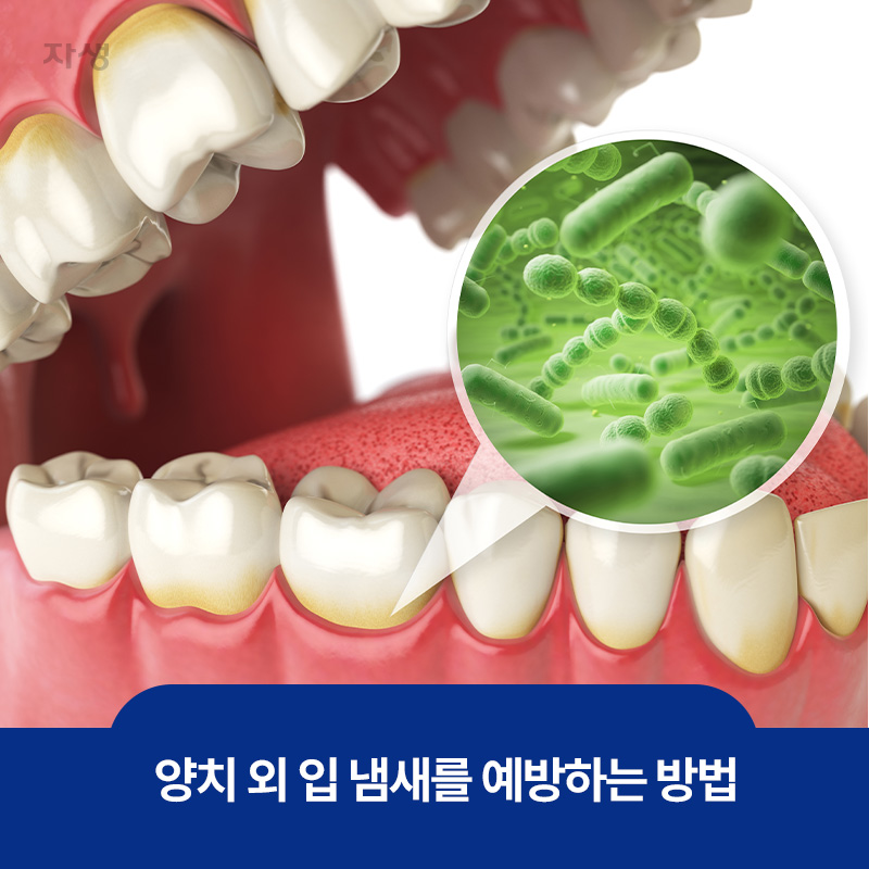 심한 구취가 나는 입냄새를 예방하는 방법을 알기 위한 치아 이미지