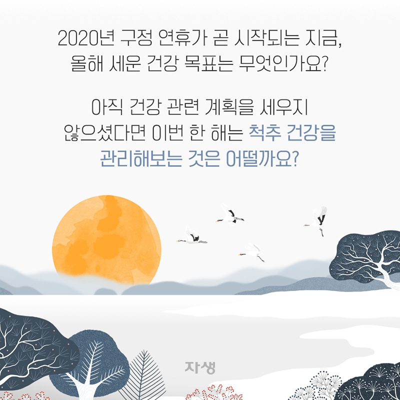 2020 새해 척추 건강 이렇게 관리하세요!