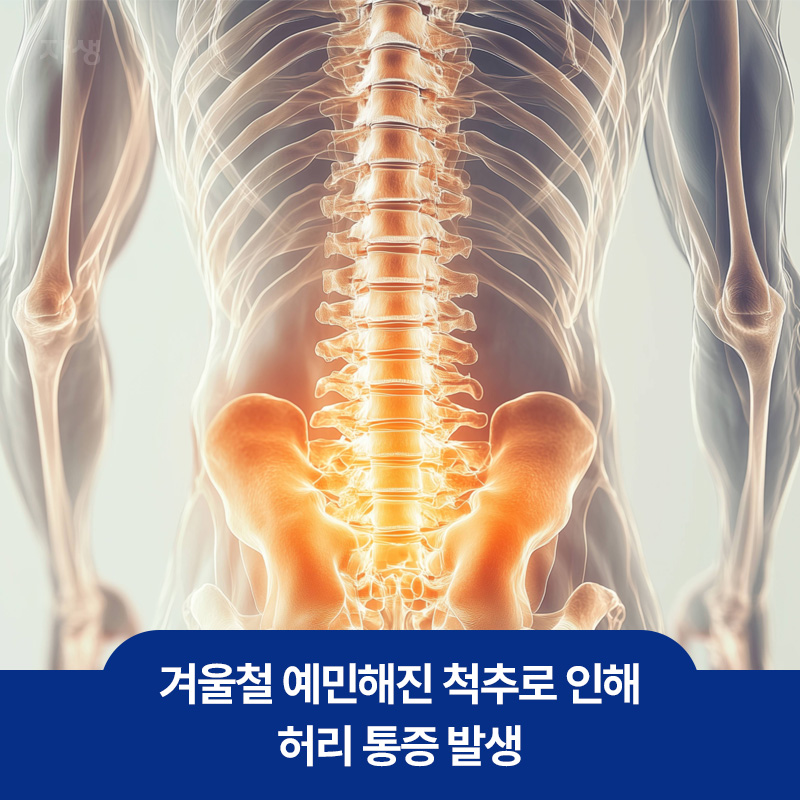 겨울철 예민해진 척추로 인해 발생되는 허리 통증의 원인을 보여주는 이미지