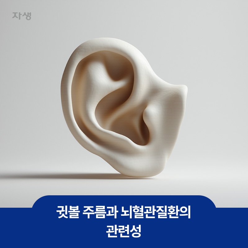 귓볼 주름과 뇌혈관질환의 관련성을 설명하기 위한 귀 모형 이미지