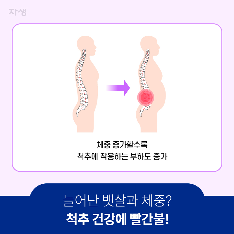 참고이미지 : 늘어난 뱃살과 체중? 척추 건강에 빨간불!
    | 자생한방병원·자생의료재단