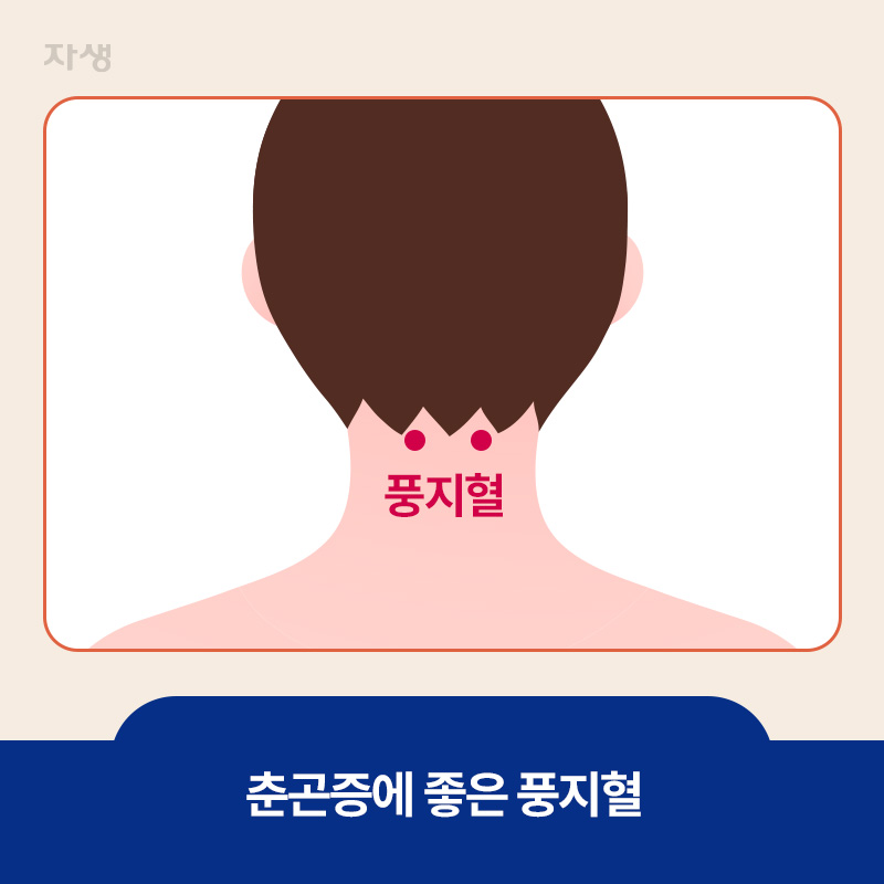 춘곤증에 좋은  풍지혈 위치