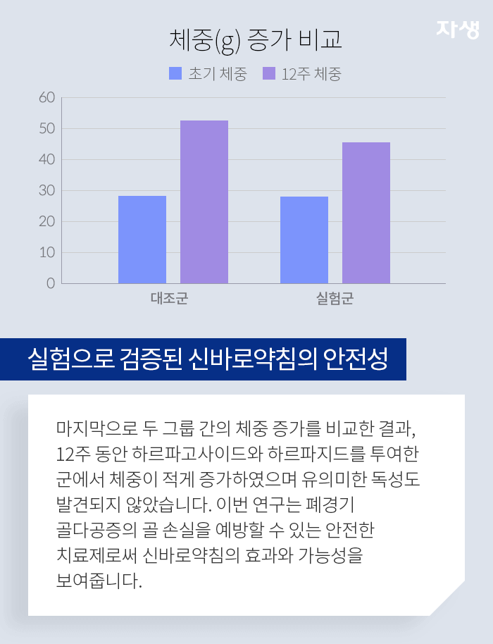 실험으로 검증된 신바로약침의 안전성 - 마지막으로 두 그룹 간의 체중 증가를 비교한 결과, 12주 동안 하르파고사이드와 하르파지드를 투여한 군에서 체중이 적게 증가하였으며 유의미한 독성도 발견되지 않았습니다. 이번 연구는 폐경기 골다공증의 골 손실을 예방할 수 있는 안전한 치료제로써 신바로약침의 효과와 가능성을 보여줍니다.