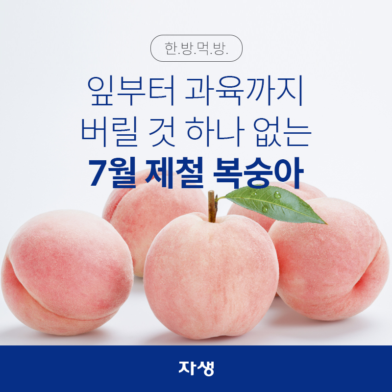 잎부터 과육까지, 버릴 것 하나 없는 7월 제철 복숭아 | 자생한방병원·자생의료재단