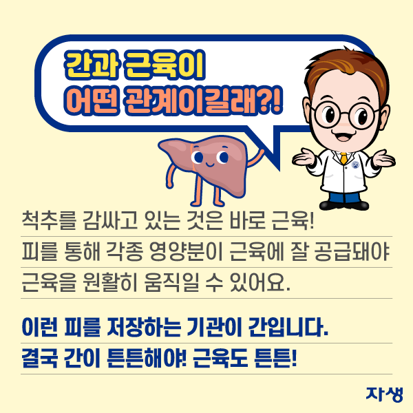 간과 근육이 어떤 관계이길래?! 척추를 감싸고 있는 것은 바로 근육! 피를 통해 각종 영야분이 근육에 잘 공급돼야 근육을 원활히 움직일 수 있어요. 이런 피를 저장하는 기관이 간입니다. 결국 간이 튼튼해야! 근육도 튼튼!| 자생한방병원·자생의료재단