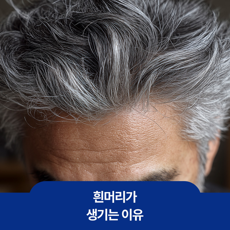 흰머리가 생기는 이유를 설명하기 위한 흰 머리 노인의 이미지
