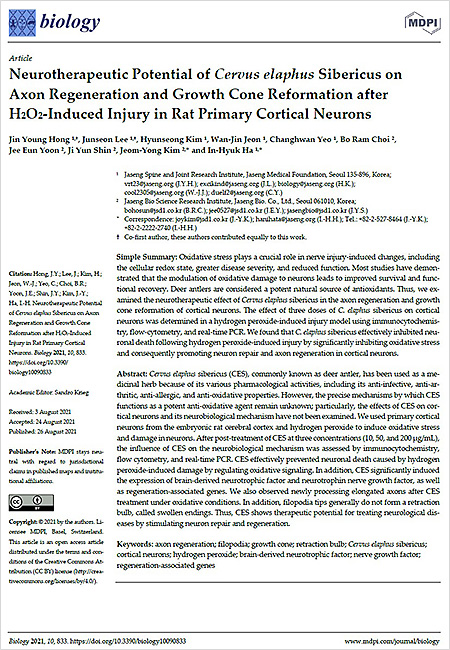 SCI(E)급 국제학술지 ‘Biology’ 최신호에 게재된 해당 연구 논문「Neurotherapeutic Potential of Cervus elaphus Sibericus on Axon Regeneration and Growth Cone Reformation after
H2O2-Induced Injury in Rat Primary Cortical Neurons」 | 자생한방병원·자생의료재단