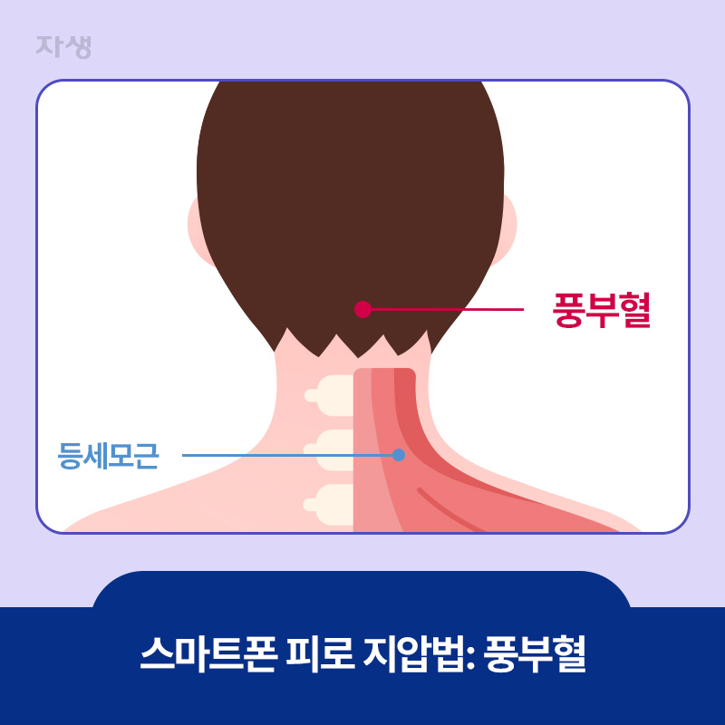 스마트폰 피로 지압법, 풍부혈