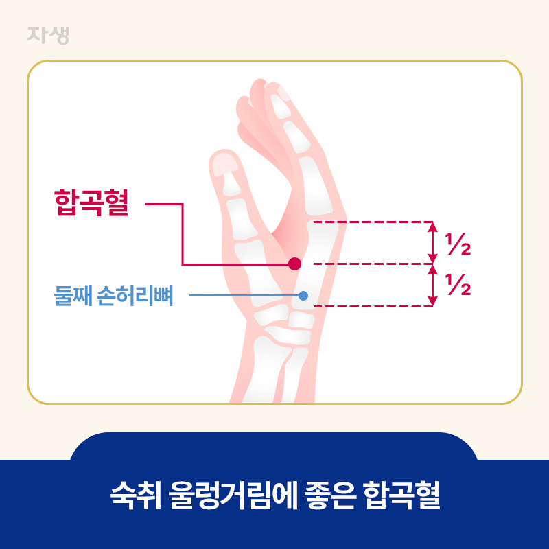 숙취 울렁거림에 좋은 합곡혈의 위치를 표시한 이미지