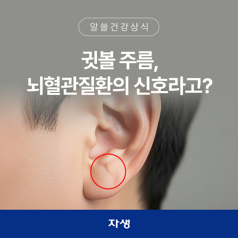 뇌혈관질환의 신호라 여겨지는 귓볼 주름 이미지