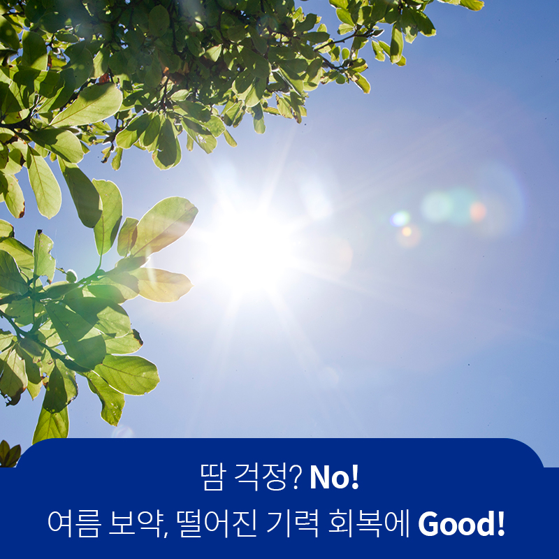 땀 걱정? No! 여름 보약, 떨어진 기력 회복에 좋아요  | 자생한방병원·자생의료재단