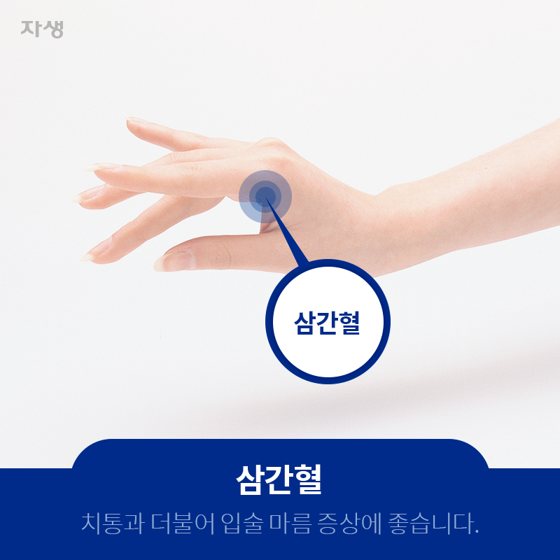 삼간혈 치통과 더불어 입술 마름 증상에 좋습니다. | 자생한방병원ㆍ자생의료재단