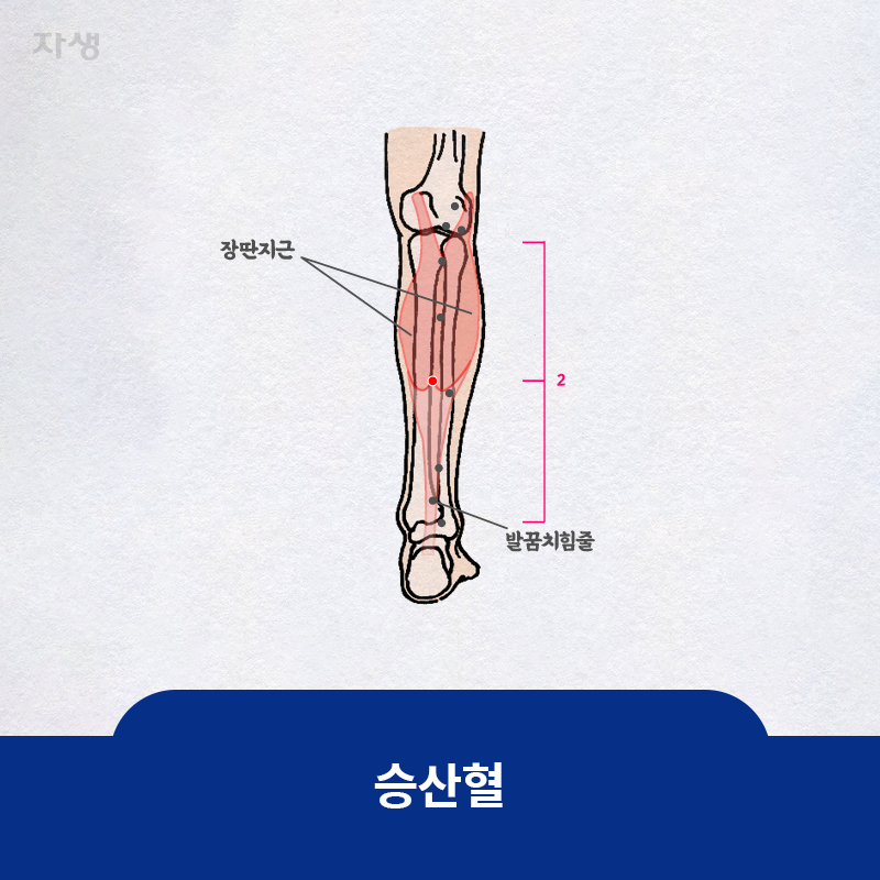 참고 이미지: 승산혈 | 자생한방병원·자생의료재단