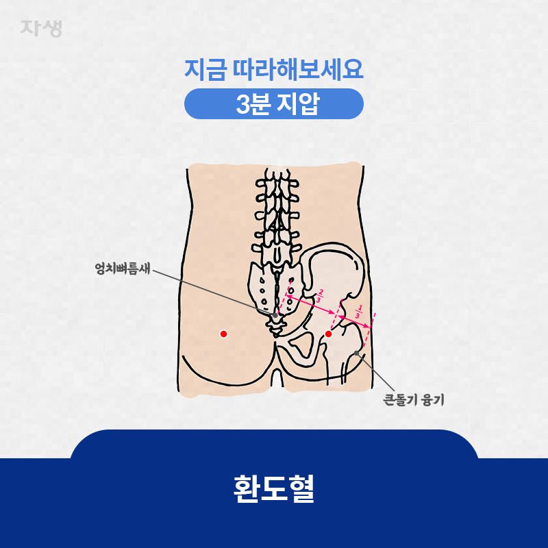 참고 이미지 : 환도혈 | 자생한방병원·자생의료재단