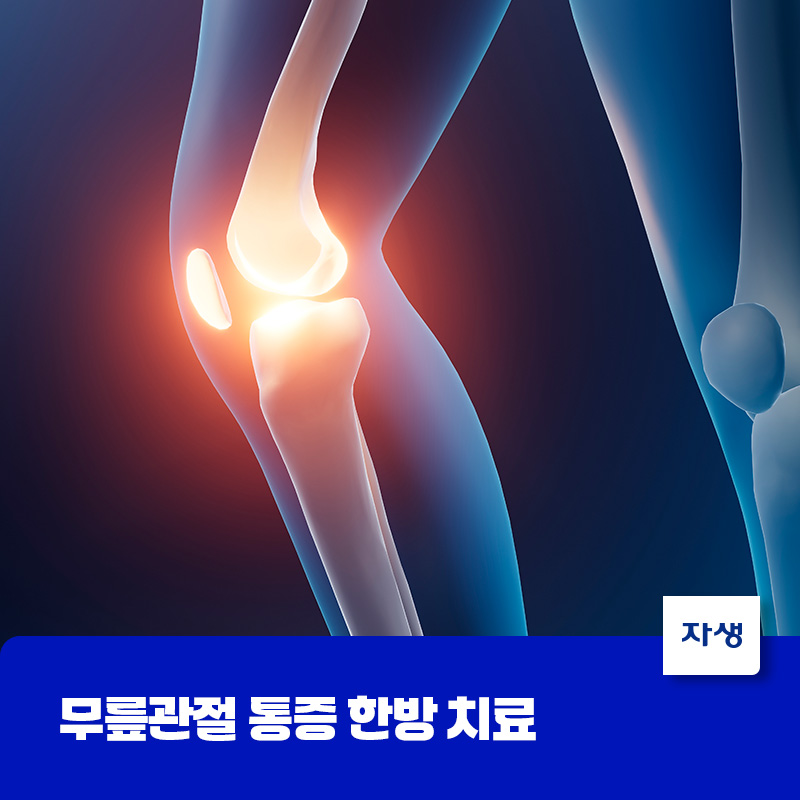 무릎관절 통증 부위를 표시한 모습으로 무릎통증을 위한 한방 치료 설명
