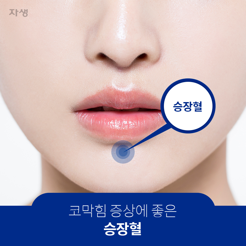 코막힘 증상에 좋은 승장혈 | 자생한방병원ㆍ자생의료재단