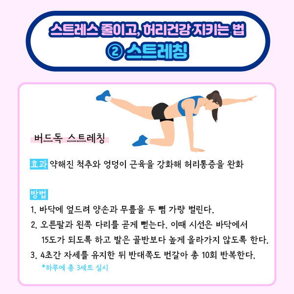 타이틀 이미지 : 스트레스 줄이고, 허리건강 지키는법 2스트레칭
    버드독 스트레칭
    효과 약해진 척추와 엉덩이 근육을 강화해 허리통증을 완화
    방법
    1. 바닥에 엎드려 양손과 무릎을 두 뼘 가량 벌린다.
    2. 오른팔과 왼쪽 다리를 곧게 뻗는다. 이때 시선은 바닥에서 15도가 되도록 하고 발은 골반보다 높게 올라기지 않도록 한다.
    3. 4초간 자세를 유지한 뒤 반대쪽도 번갈아 총 10회 반복한다. 하루에 총 3세트 실시 | 자생한방병원·자생의료재단