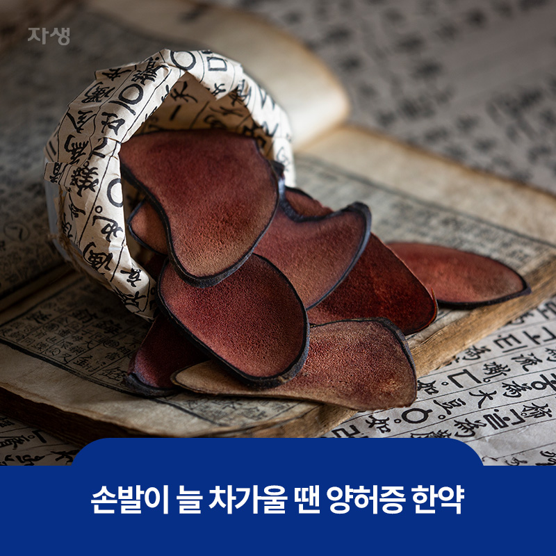 손발이 차가울 때 좋은 양허증 한약의 재료인 녹용 이미지