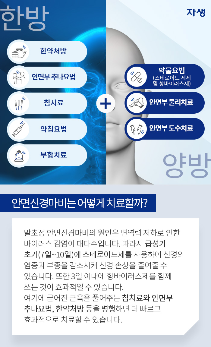 안면신경마비는 어떻게 치료할까? 말초성 안면신경마비의 원인은 면역력 저하로 인한 바이러스 감염이 대다수입니다. 따라서 급성기 초기(7일~10일)에 스테로이드제를 사용하여 신경의 염증과 부종을 감소시켜 신경 손상을 줄여줄 수 있습니다. 또한 3일 이내에 항바이러스제를 함께 쓰는 것이 효과적일 수 있습니다. 여기에 굳어진 근육을 풀어주는 침치료와 안면부 추나요법, 한약처방 등을 병행하면 더 빠르고 효과적으로 치료할 수 있습니다.