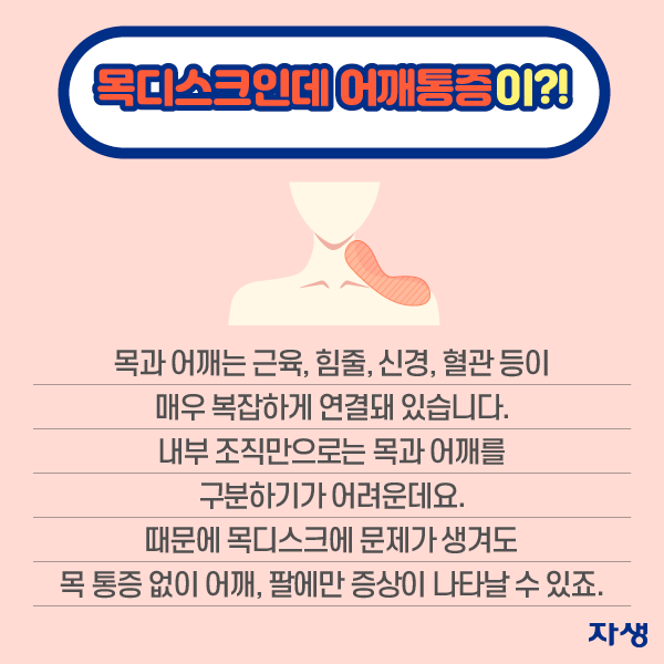 목디스크인데 어깨통증이?! 목과 어깨는 근육, 힘줄, 신경, 혈관 등이 매우 복잡하게 연결돼 있습니다. 내부 조직만으로는 목과 어깨를 구분하기 어려운데요. 때문에 목디스크에 문제가 생겨도 목 통증없이 어깨, 팔에만 증상이 나타날 수 있죠. | 자생한방병원·자생의료재단