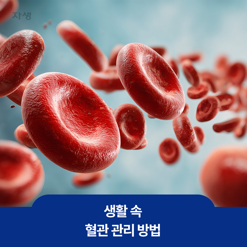 생활 속 혈관 관리 방법 설명을 위한 혈액 이미지