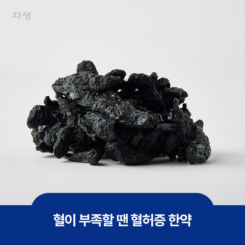 혈이 부족할 때 좋은 혈허증 한약의 재료인 숙지황 이미지