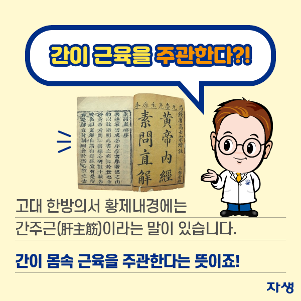 간이 근육을 주관한다?! 고대 한방의서 황제내경에는 간주근(肝主筋)이라는 말이 있습니다. 간이 몸속 근육을 주관한다는 뜻이죠! | 자생한방병원·자생의료재단