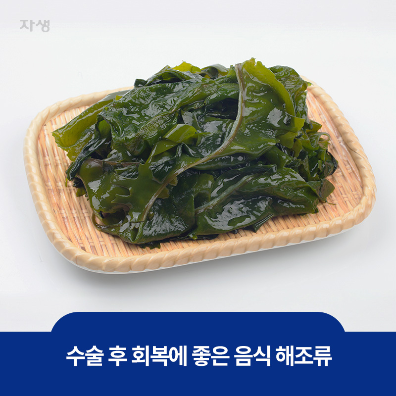 수술 후 회복에 좋은 음식 해조류 이미지