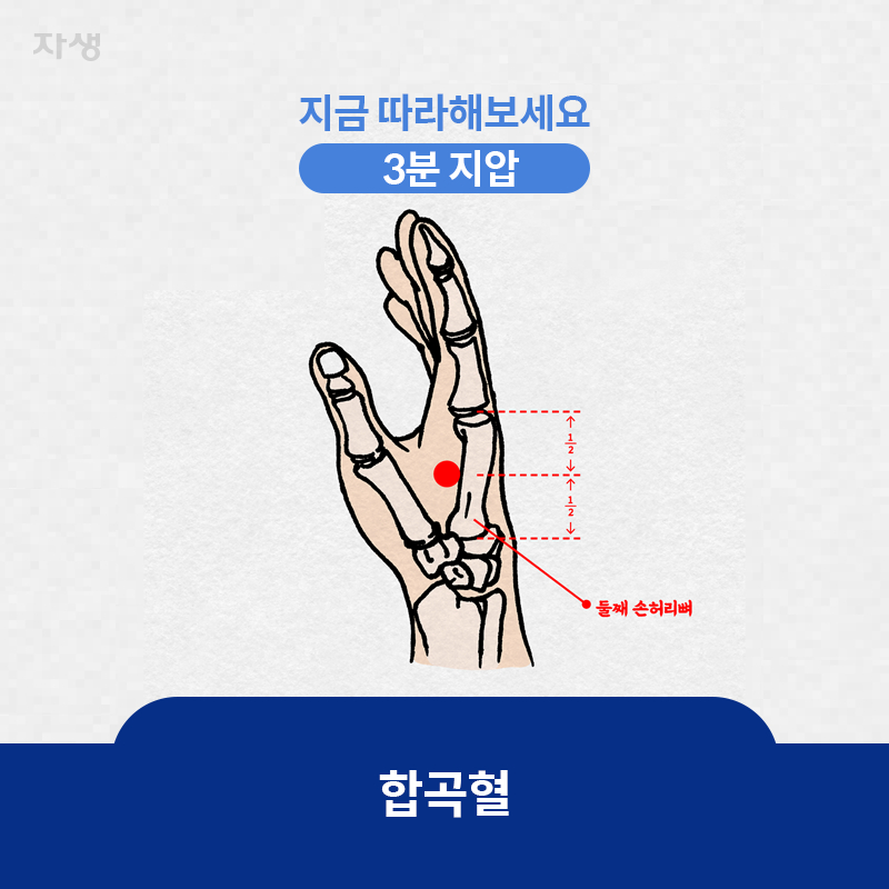 참고 이미지 : 합곡혈 | 자생한방병원·자생의료재단