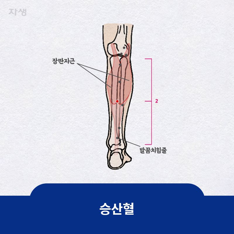 참고 이미지: 승산혈 | 자생한방병원·자생의료재단